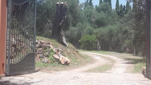 Villa prima