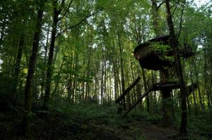 Sejours a la campagne L'Arbre a Cabane : photos des chambres