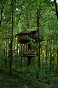 Sejours a la campagne L'Arbre a Cabane : photos des chambres