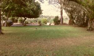 Bed & Breakfast Il Rosmarino img20