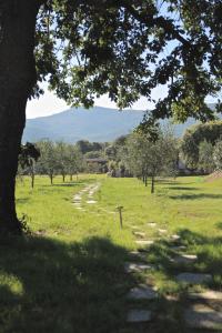 Lodges Casa Legna : photos des chambres