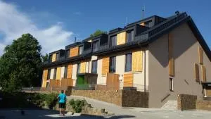 Apartmán u svahu Dolní Morava - 德武戈波莱兹德鲁伊