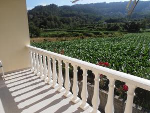 Casa do Reguengo - 4hvězdičkové hotely ve městě Arouca