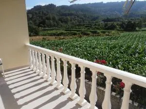 Casa do Reguengo - Arouca