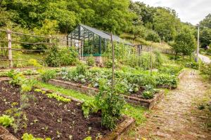 Country house with a pool in Medvednica Nature Park