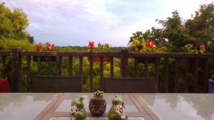 Mondounet photo 15