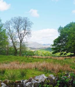 The Drunken Duck Inn