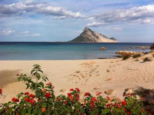 Ferienhaus Villetta Azzurra Porto Taverna Italien