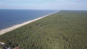 Bursztynowy Apartament