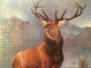 Dunvegan Bed & Breakfast