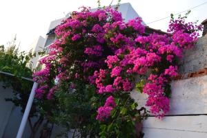 Traditional Cycladic House Syros Syros Greece