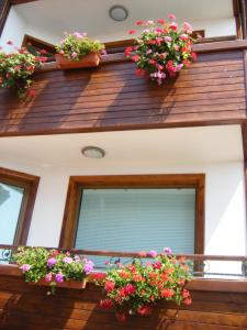 Dari Guest Rooms Стаи за гости Дари