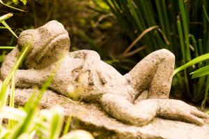 Suite 3C, Jacaranda, Garden House, Wewlcome to San Angel