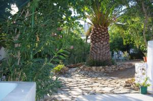 Oasis Sifnos Greece