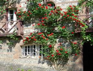 B&B / Chambres d'hotes Le Moulin Fleuri du Petit Appeville : photos des chambres