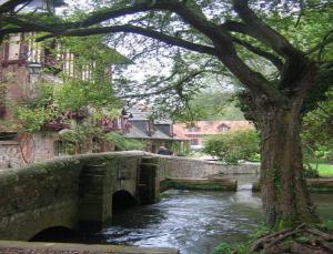 B&B / Chambres d'hotes Le Moulin Fleuri du Petit Appeville : photos des chambres