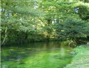 B&B / Chambres d'hotes Le Moulin Fleuri du Petit Appeville : photos des chambres