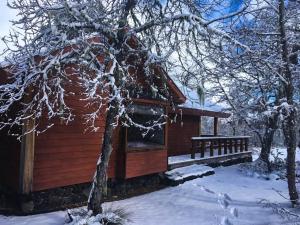 Cabañas en Termas de Chillán