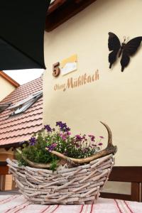 Ferienappartement Balik