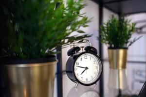 Apartament LOFT Industrial EC1