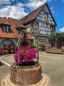 Maisons d'hotes Domaine Bleger by Windmuehl : Chambre Double - Vue sur Jardin