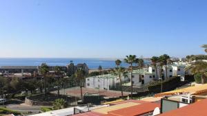 Monte Rojo San Agustin