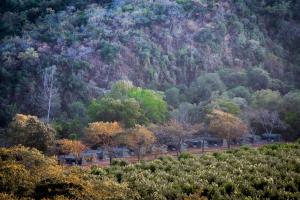 Lions Rock Rapids - Luxury Tented Camp