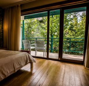 Superior Double Room with Balcony room in Hotel Sunny Hill