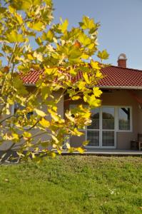 Holiday Home room in Bokros Vendégház