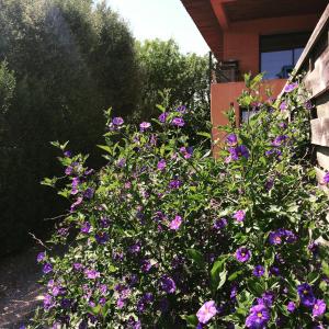 Maisons de vacances La Poussada, maisons ecologiques avec vue mer : photos des chambres