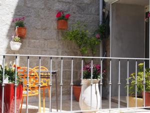 Appartements Maison de Vacances - Casa Mezanaccia avec Terrasse fleurie meuble tourisme 3 etoiles : photos des chambres