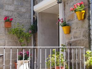 Appartements Maison de Vacances - Casa Mezanaccia avec Terrasse fleurie meuble tourisme 3 etoiles : photos des chambres