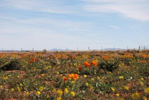 Platbakkies Farm Retreat