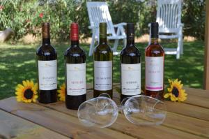 Agriturismo La Rondine