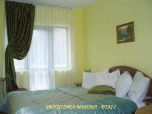 Pensiunea Medina