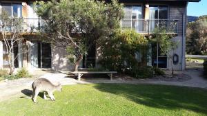 yha grampians eco halls gap