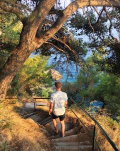 SerendipitY DubrOvniK CentrE-Free parkinG