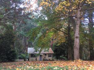 Hill 'n' Dale Farm Cottages