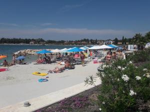Apartments Residence Info Tourist