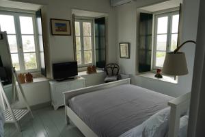 Two Olive Trees Spetses Greece