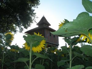 B&B / Chambres d'hotes Chambre d'hotes insolite dans un pigeonnier a 5 minutes de Marciac Gers : photos des chambres