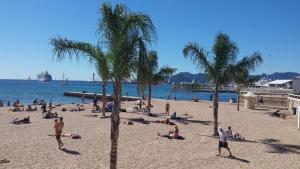 Appartements Central avec Jardin : photos des chambres