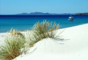 Appartamento Angela img24