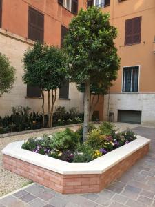 b&b Gio Colosseo - Celio