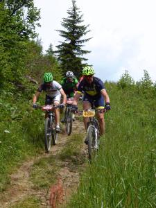 Appartamento Sellaronda