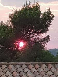 B&B / Chambres d'hotes Villa Catharina : photos des chambres