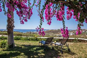 La Casa Tinos Tinos Greece