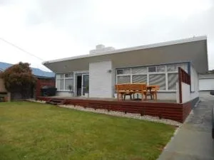 Elusive Penguin - Bicheno