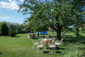 Nel Giardino Degli Ulivi