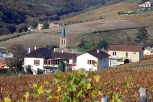 Maisons de vacances Gite du Domaine de la Milleranche : photos des chambres